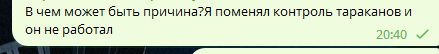 тараканы.png