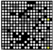 V200.webp