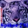 Spiker781