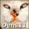 Dens11